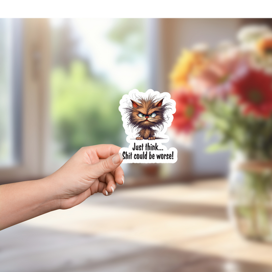 Shit Could Be Worse Sticker
